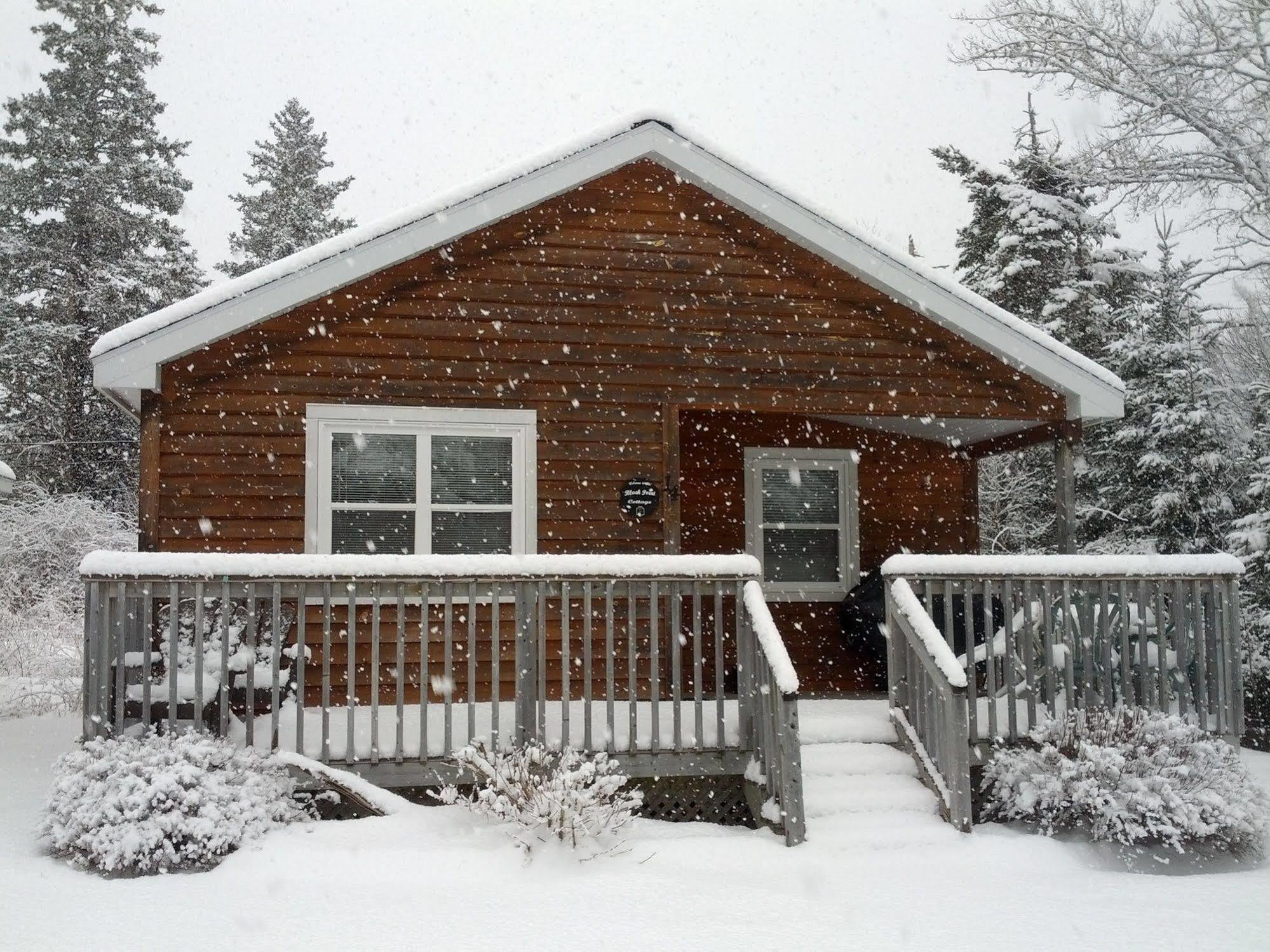Anchorage House And Cottages Χάλιφαξ Εξωτερικό φωτογραφία